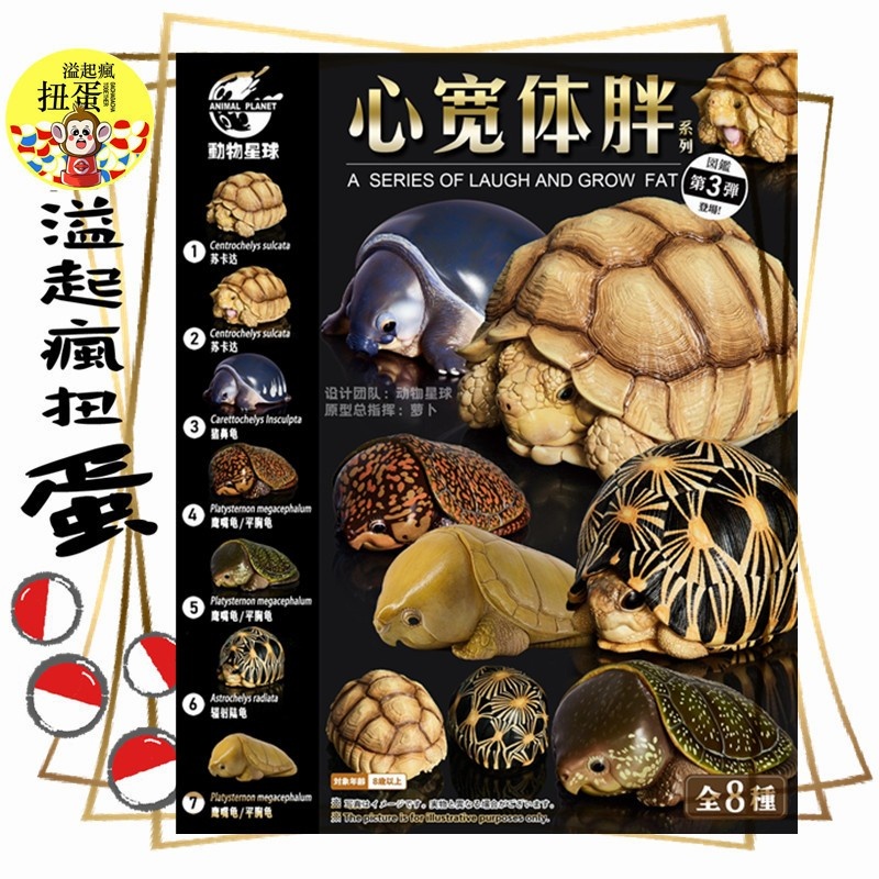 ♧溢起瘋扭蛋♧ 心寬體胖 動物星球 烏龜 陸龜 輻射龜 豬鼻龜 蘇卡達 公仔 擬真 海龜 陸龜 高雄 鹽埕