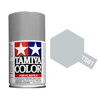 【模界模型】TAMIYA 田宮噴漆 TS-81皇家淺灰色