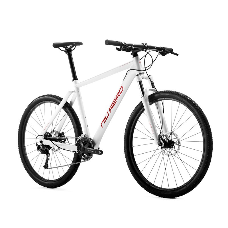 niu aero bike