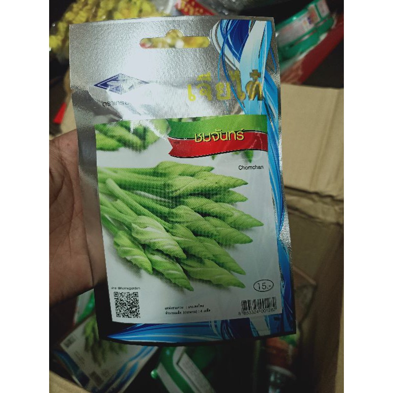 Hạt Giống Rau Chomchan Thai 夜花蕃薯藤 蝦皮購物