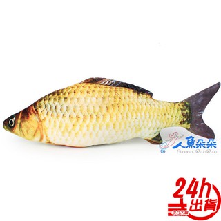 模擬貓薄荷魚抱枕玩具 貓咪玩具 貓薄荷 貓玩具 模擬魚 貓草包 貓草抱枕 貓草枕 貓草玩具 抱枕 臺灣出貨 現貨
