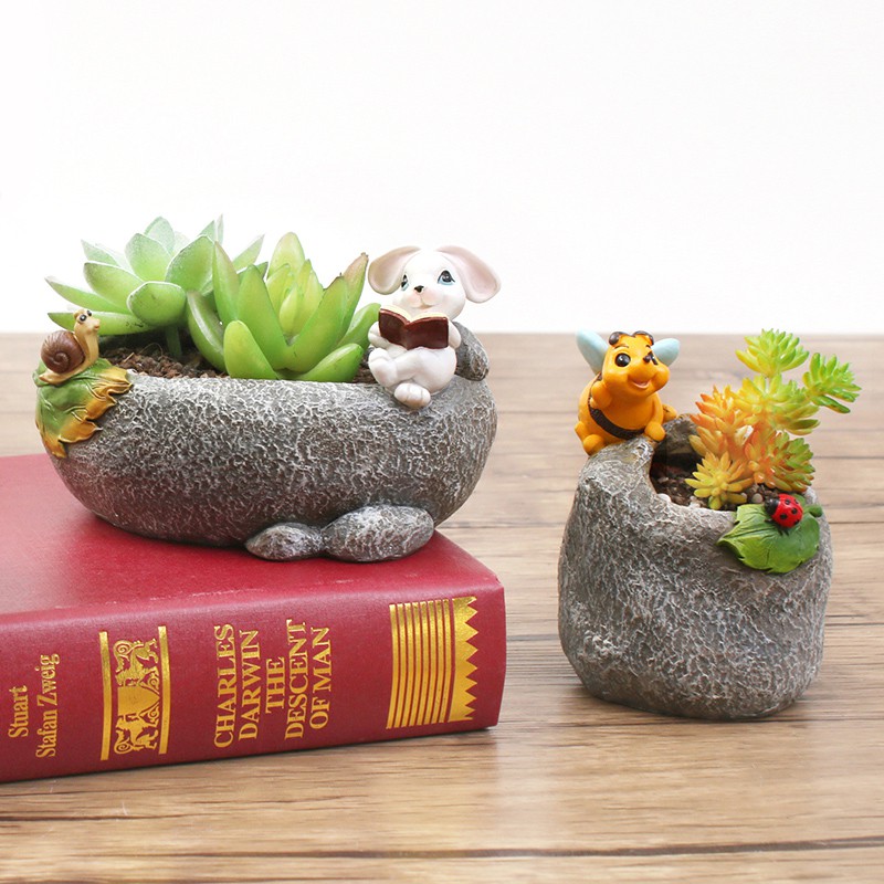 盆栽花器多肉植物 拍賣 評價與ptt熱推商品 21年6月 飛比價格