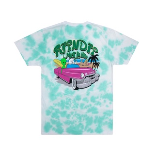 RIPNDIP NERMRIDER BEACH TEE 渲染綠 短袖T恤 中指貓 台灣總代理-ALL