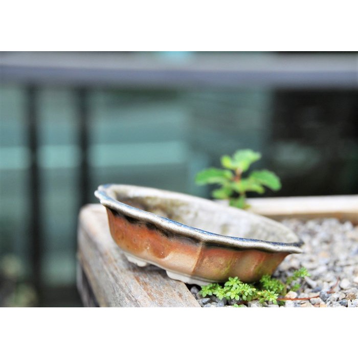 &lt;草葉集&gt;鄒陽古鏡型柴燒盆 絢麗色澤 更顯翠綠植栽 茶席擺設 花盆花器