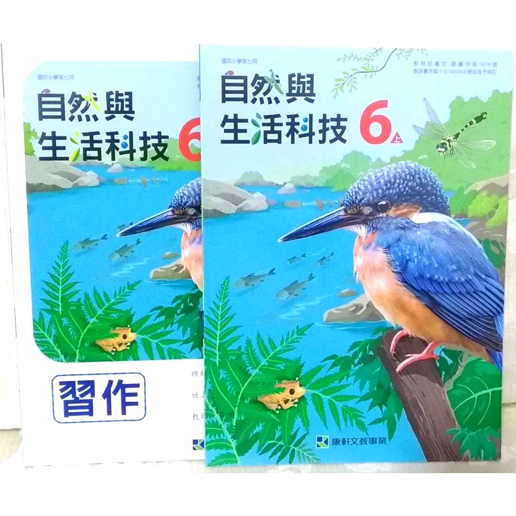 全新 學生 自然與生活科技 國小 康軒 6上 六上 課本 習作 第七冊 學生版 學生用書 家教 教甄 自然 生活科技