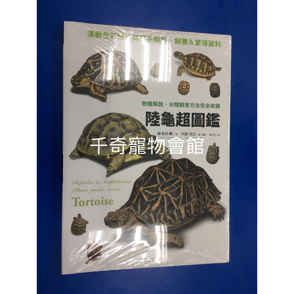 千奇爬蟲 陸龜超圖鑑 蝦皮購物
