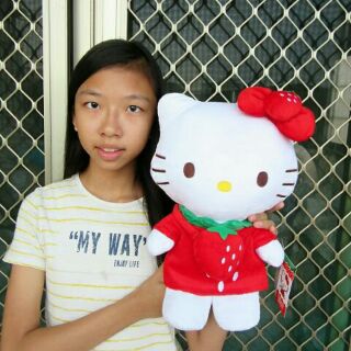 正版Hello Kitty娃娃∼ 凱蒂貓娃娃∼kitty娃娃 kitty玩偶