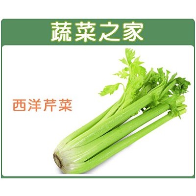 蔬菜之家 F06 西洋芹菜 美國芹 種子2000顆 又名青種西洋芹 柄綠色 葉濃綠 產量高 蝦皮購物