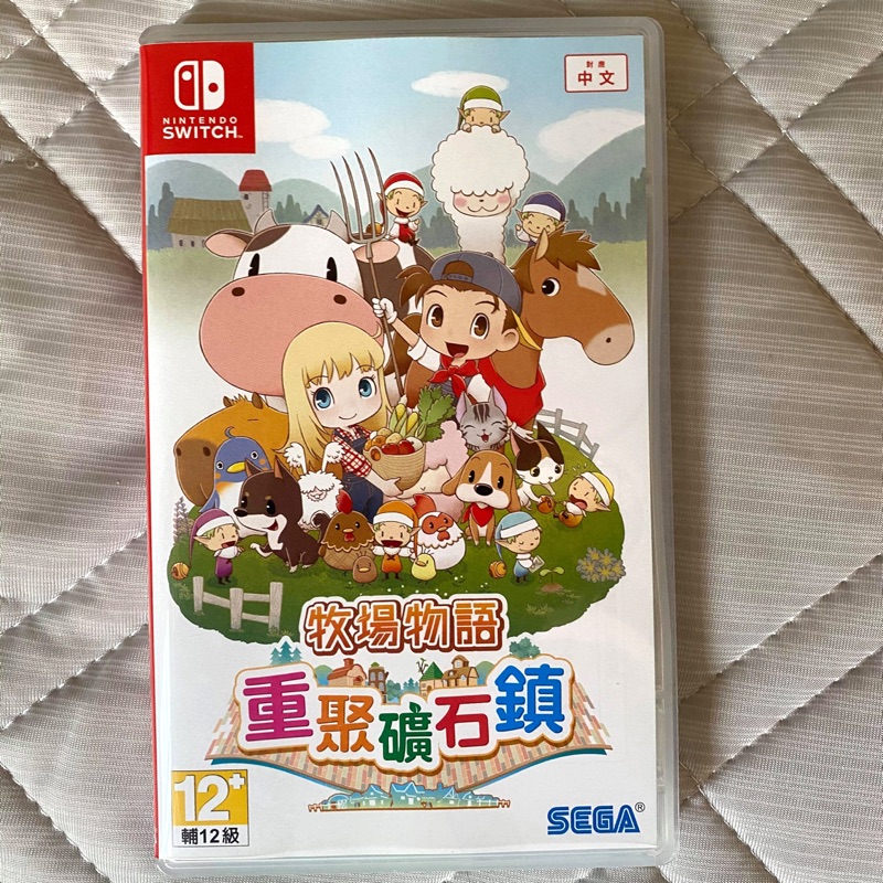 NS 任天堂 Switch 牧場物語 重聚礦石鎮 / 近全新二手遊戲片