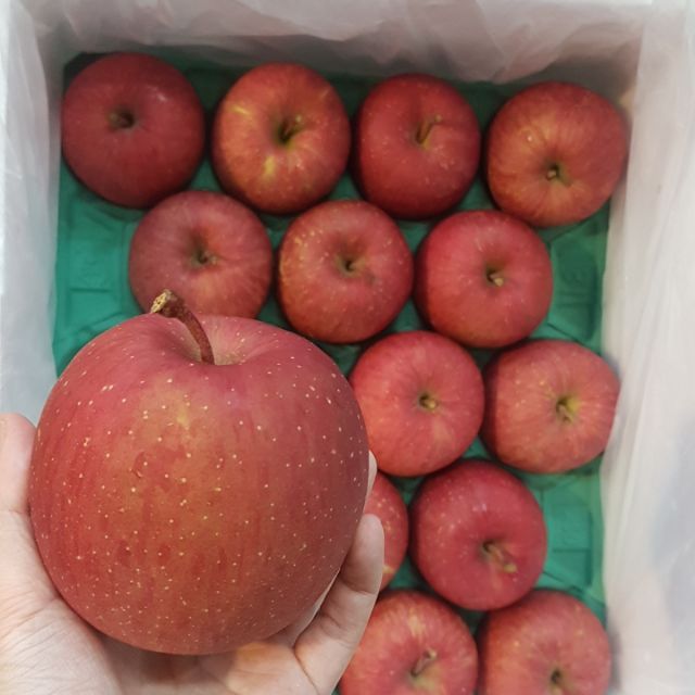 日本富士青森蜜蘋果46粒原裝箱
