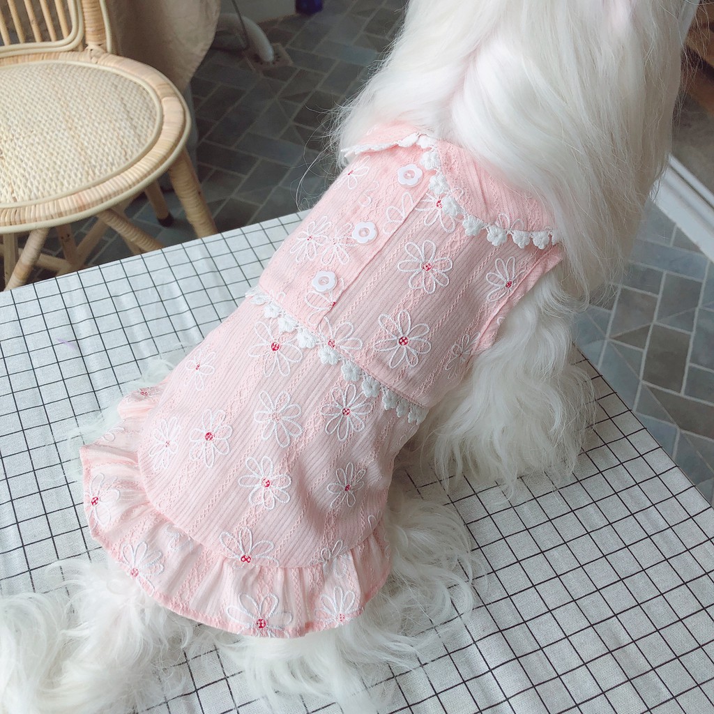 當天出貨現貨狗衣服貓衣服寵物衣服小型犬中型犬大型犬小貓貓咪寵物博美泰迪kz 夏日桔梗純棉薄款 蝦皮購物