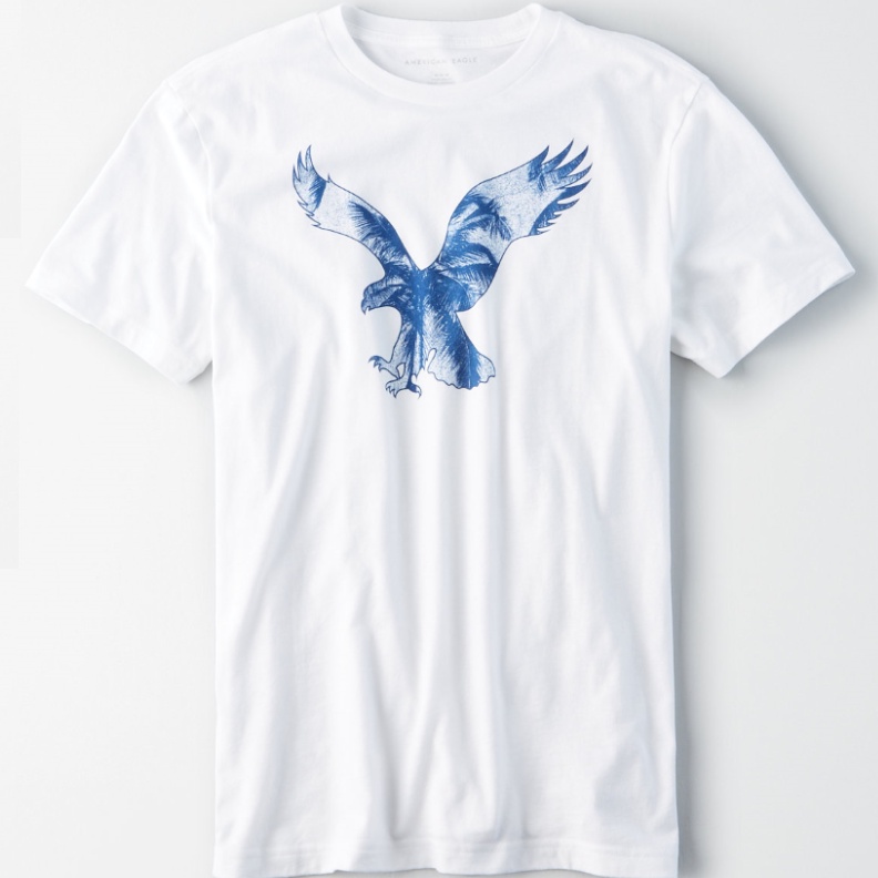 American Eagle T恤 老鷹 男裝 短袖 短T-Shirt 圓領上衣 AE4143 白色AE(現貨)