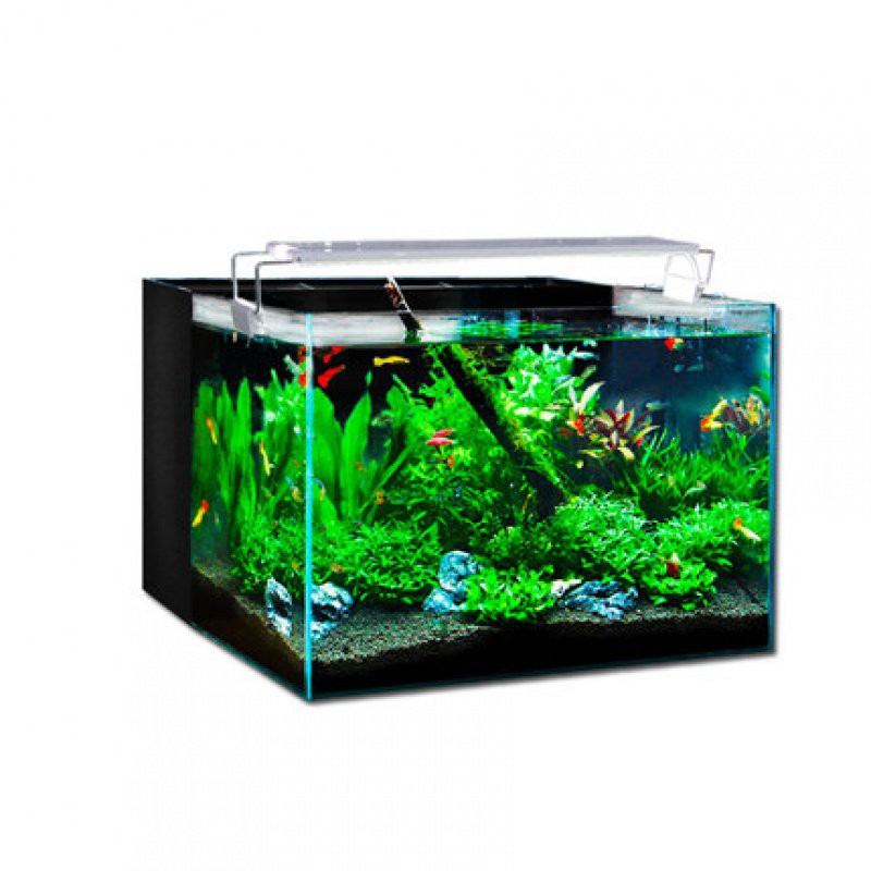 迷你型桌面魚缸 樂事海星家用客廳小型桌面背過濾水族箱超白玻璃金魚生態水草魚缸 魚缸 蝦皮購物