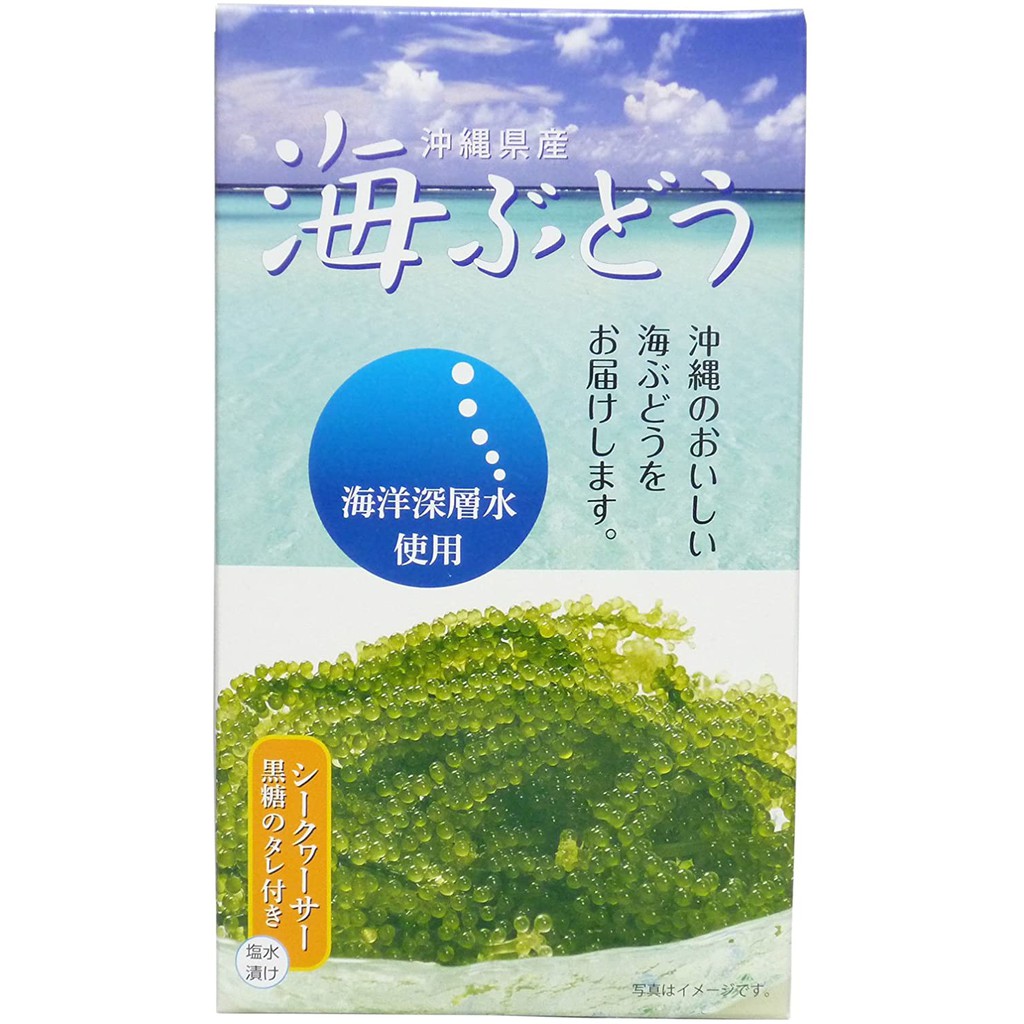 日本直郵沖繩名產海ぶどう海葡萄60g 沖繩黑糖四季柑醬汁付 蝦皮購物