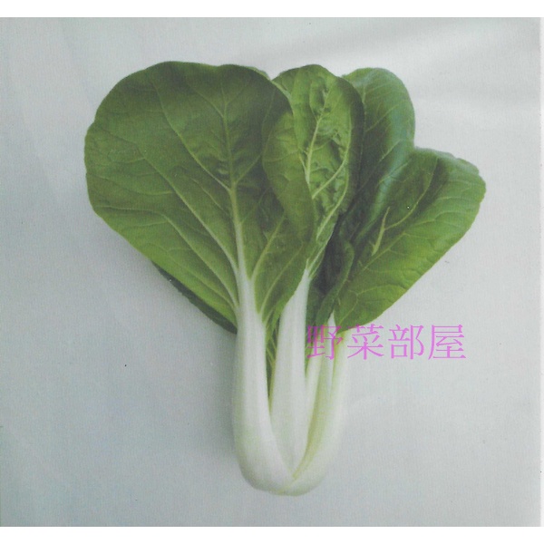 【野菜部屋~】F10 松柏奶油白菜種子2公克 , 葉片大 , 較圓 , 株型直立 , 耐病 , 每包16元 ~