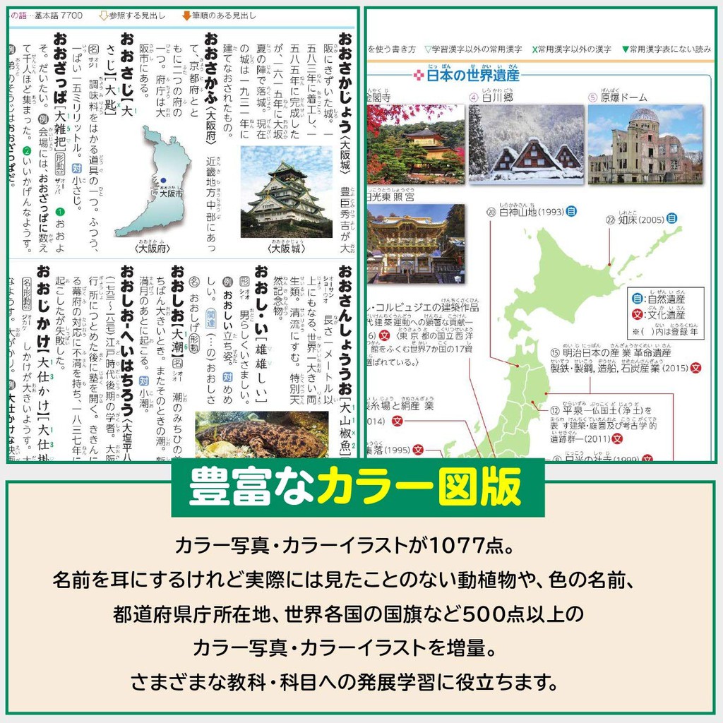 例解學習日語辭典第11版日文原版例解學習日語辭典第十一版 蝦皮購物