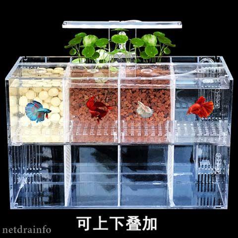 台灣現貨 鬥魚魚缸 水族用品 鬥魚缸 迷你水族箱 鬥魚缸 鬥魚魚缸 鬥魚罐小型四格生態小魚缸燈gogo