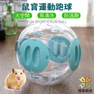 臺灣現貨 鼠寶運動跑球 倉鼠跑球 透明跑球 倉鼠用品 倉鼠玩具 睡鼠 黃金鼠 一線鼠 三線鼠 熊鼠 老公公鼠 寵愛快送