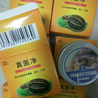 龜殼保養膏 真菌淨 烏龜 龜殼 發白 白斑 背甲真菌 腐甲