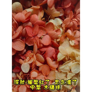 漸變系列繡球花不凋花永生花莫蘭迪色馬卡龍色綉球花花材diy 朵希幸福花屋 蝦皮購物