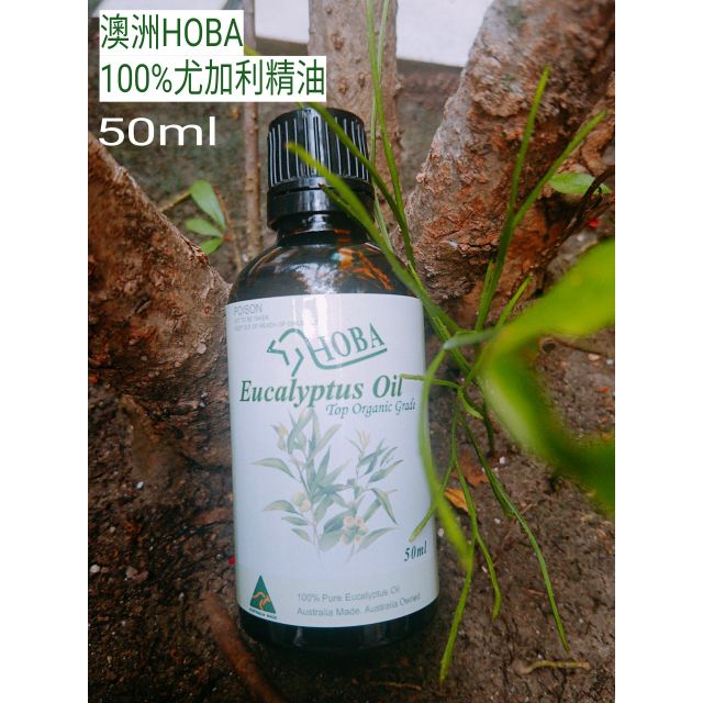 澳洲 HOBA 100%純尤加利樹(桉樹)精油 尤加利精油  50ml