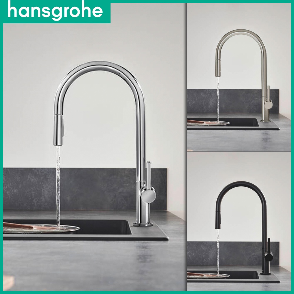 ⭐德國品牌 Hansgrohe 漢斯格雅 Talis M54 鵝頸龍頭 伸縮廚房龍頭 伸縮龍頭 側把手 兩段 72800