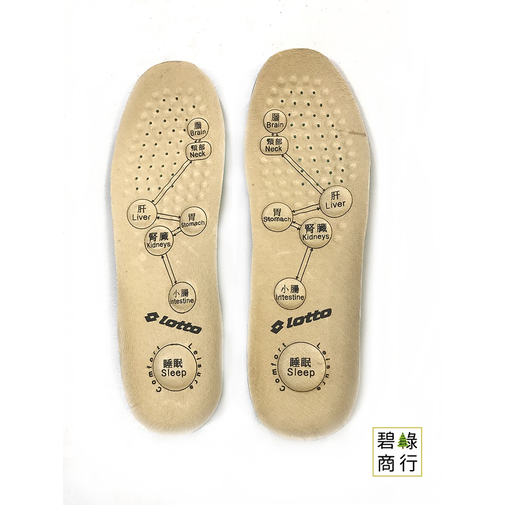 Lotto 義大利 磁石 真皮 乳膠鞋墊 LT7CMI0160 | 碧綠商行