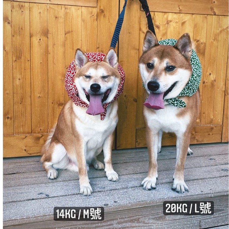 現貨 日本面料唐草紋離家出走包袱小偷包柴犬必備柴犬配飾寵物配件寵物配飾 蝦皮購物