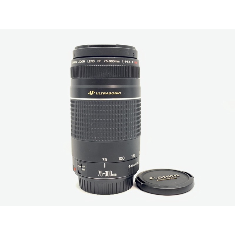 佳能 CANON EF 75-300mm F4-5.6 III USM 超音波對焦 變焦望遠鏡頭 全幅 (三個月保固) #4