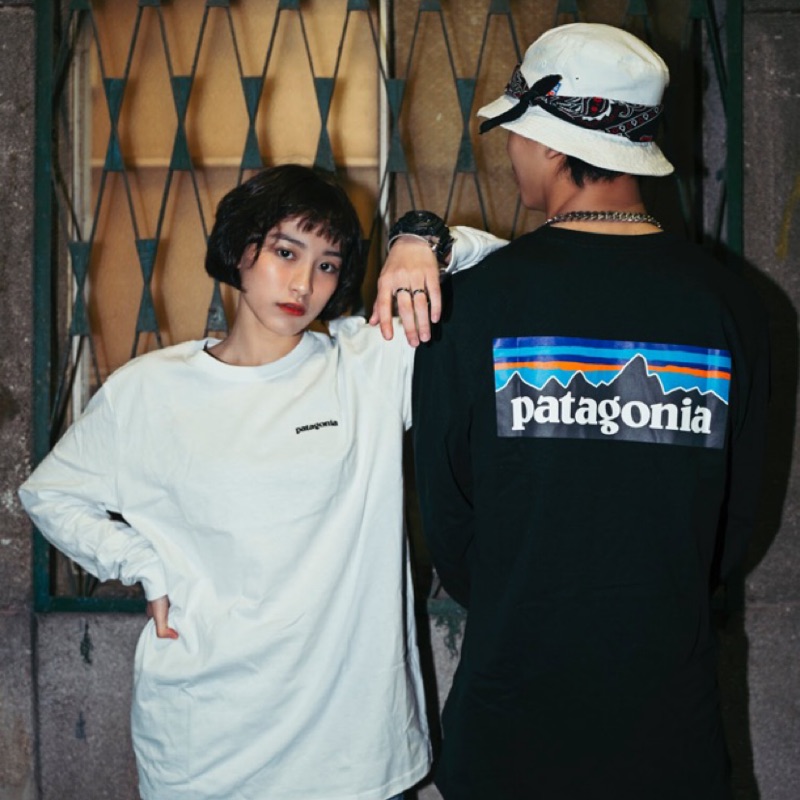 patagonia baseball tee