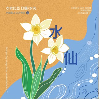 （接單現烘）衣索比亞 古吉烏拉嘎 多莓處理廠 G1水洗 半磅 藏自家手工咖啡烘培 接單烘培 可做耳掛