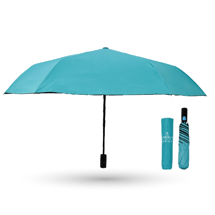 【大振豐】極簡素色超抗風大傘面自動開收傘 大傘面 自動開收