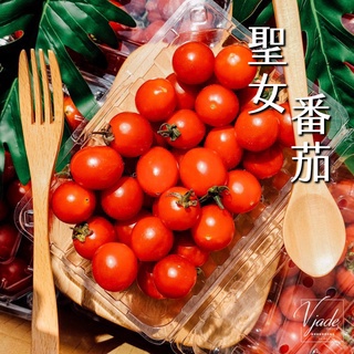 聖女番茄virgin tomato 台灣小番茄 5斤/10斤 在地水果 番茄汁 番茄炒蛋 鮮果綠 快速出貨 品質保證