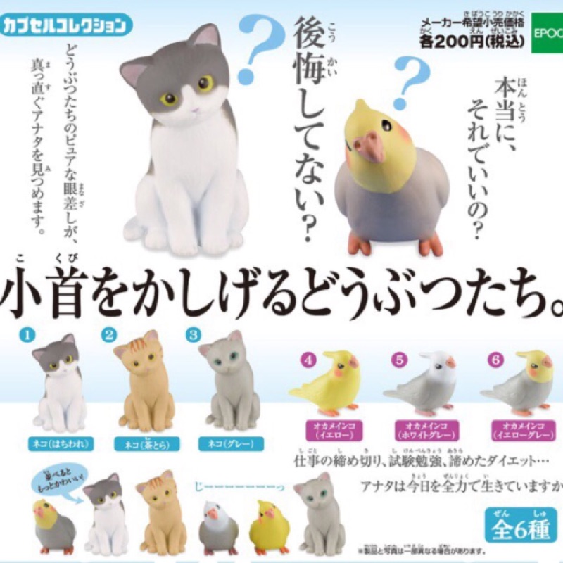 日本 扭蛋 轉蛋 貓 玄鳳 EPOCH公仔 玩偶 JP 海洋堂 模型 收藏品 動物