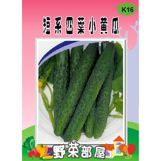 【萌田種子~】K16 短系四葉小黃瓜種子8公克(約 336顆) 肉質鮮脆~