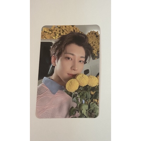 Seventeen 迷八圓佑捧花卡娃應援勳奶糖圓崽知勳娃圓佑娃 蝦皮購物