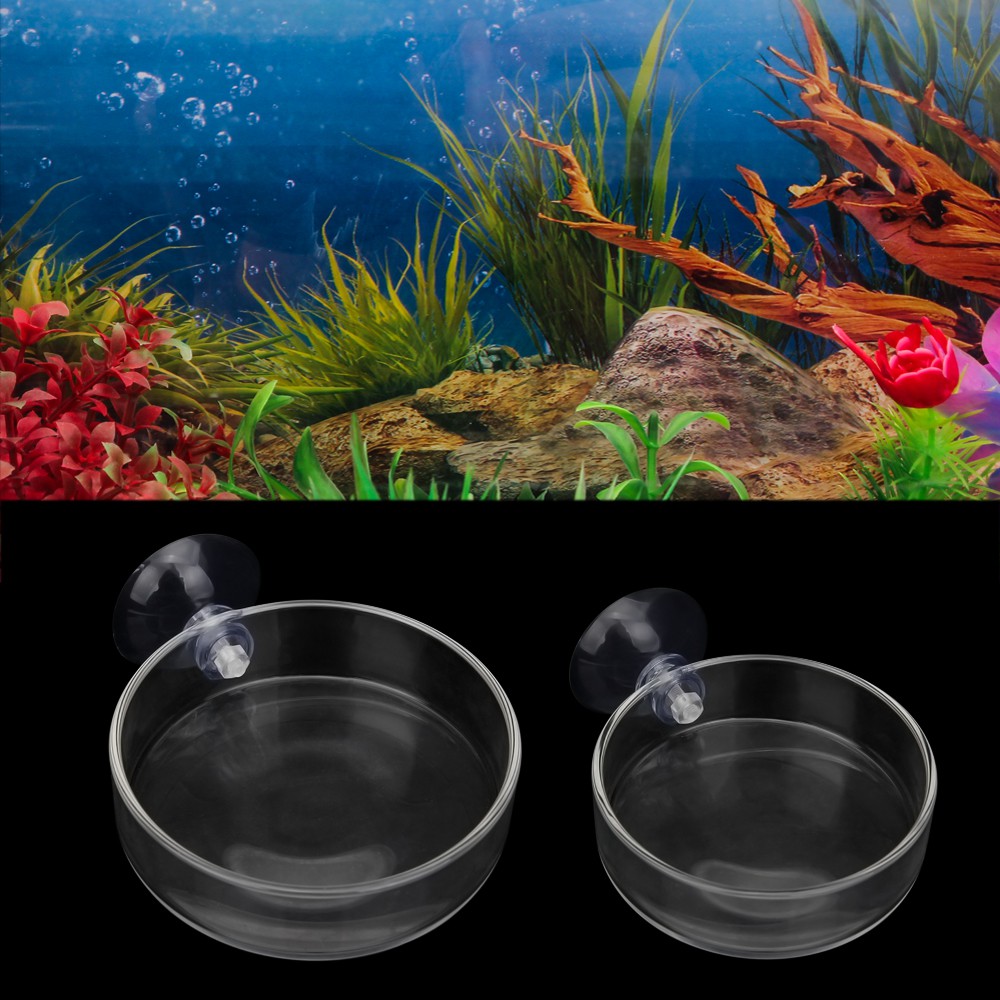 Senzeal 2入水族玻璃喂食碗空中虾盘小鱼餵食碗爬行動物水食物盤餵食器家庭廚房碗圓带吸盤 蝦皮購物