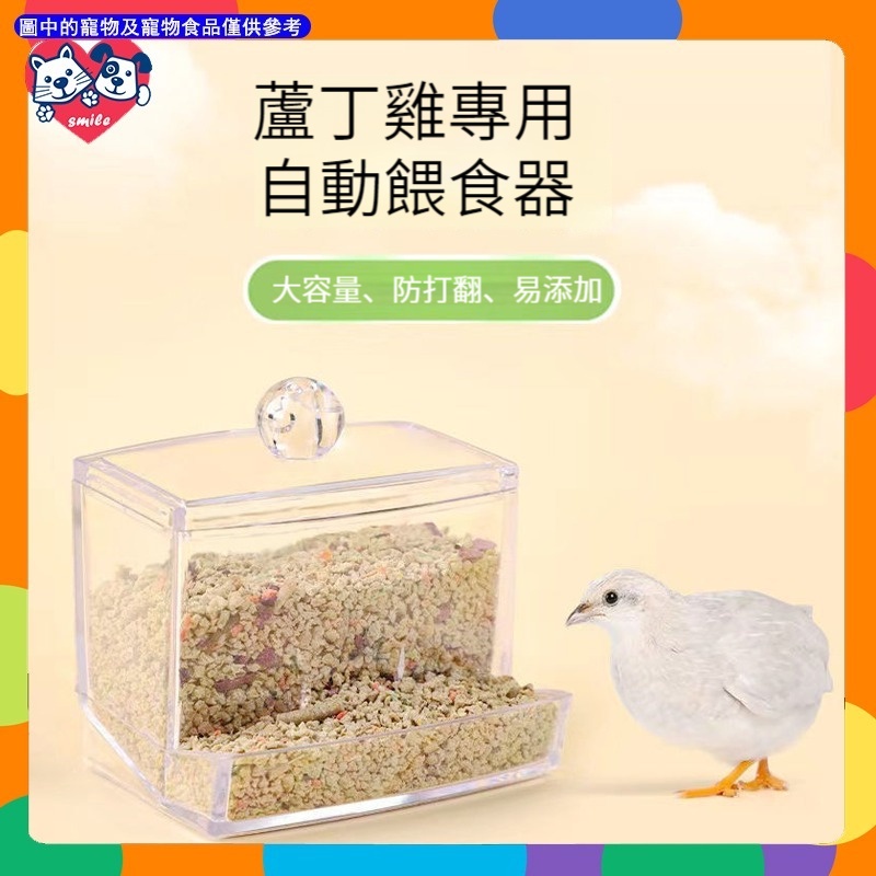 蘆丁雞餵食器 自動小雞食盒 食槽 食盆 食罐 飼料盒 下料飲食飲水機
