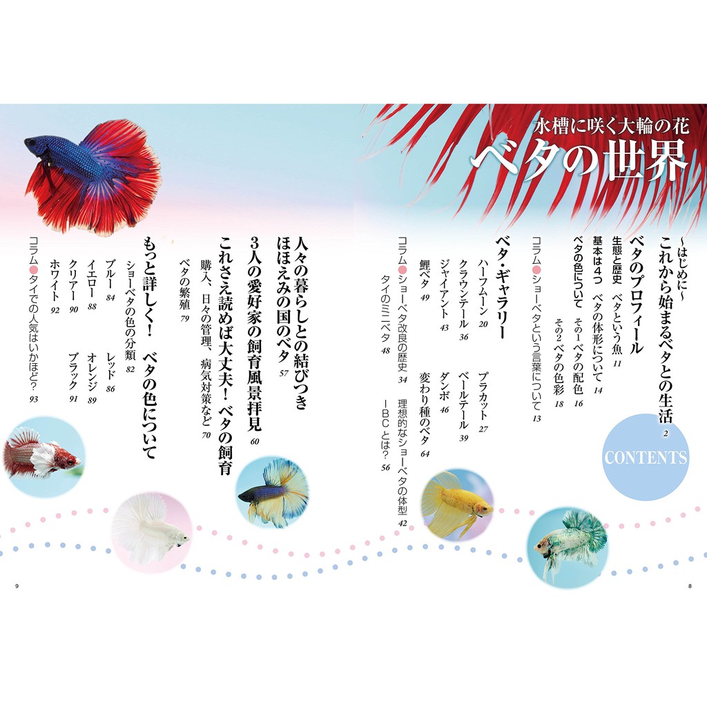 鬥魚飼育書籍魚缸 水中綻放的花朵鬥魚的世界水槽に咲く大輪の花ベタの世界 蝦皮購物