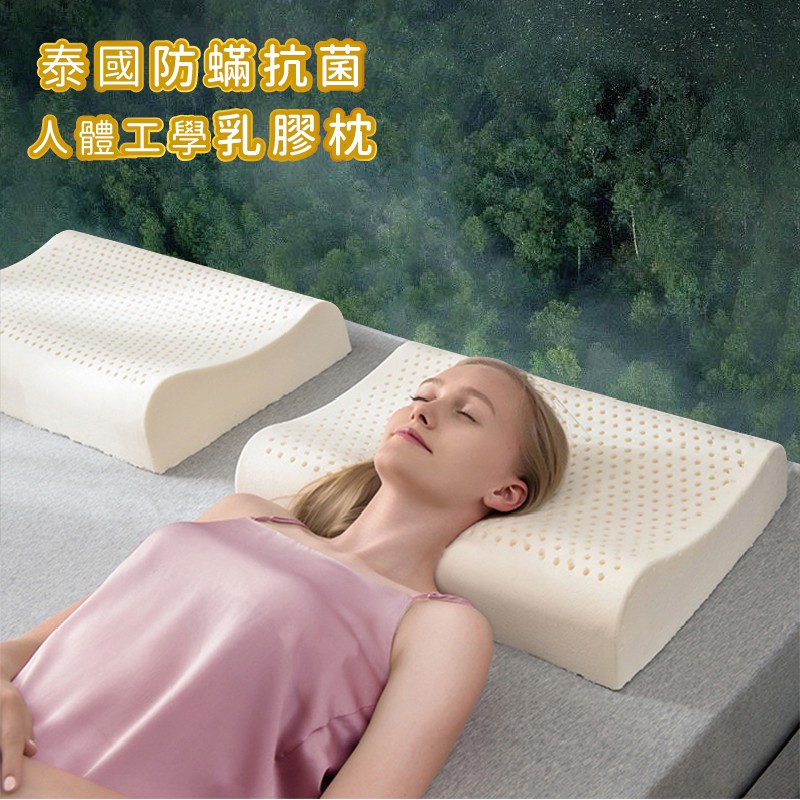 泰國抗菌防蟎乳膠枕 人體工學