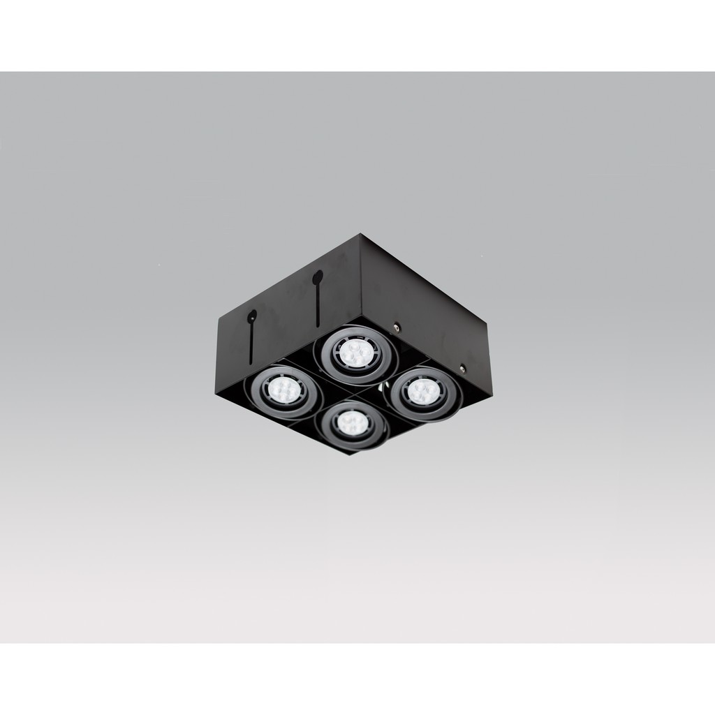 DV-16008 無邊框四燈盒燈 搭配飛利浦LED MR-16 燈泡 (崁入孔218*218 mm)