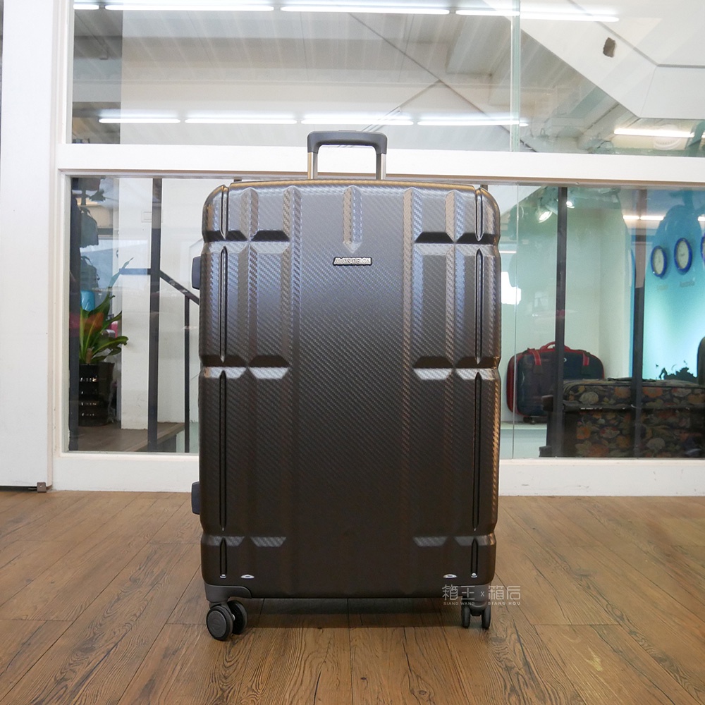 ALAIN DELON 亞蘭德倫 28吋 可擴充行李箱 可加大行李箱 大空間行李箱 拉鍊箱 321-75-28 灰
