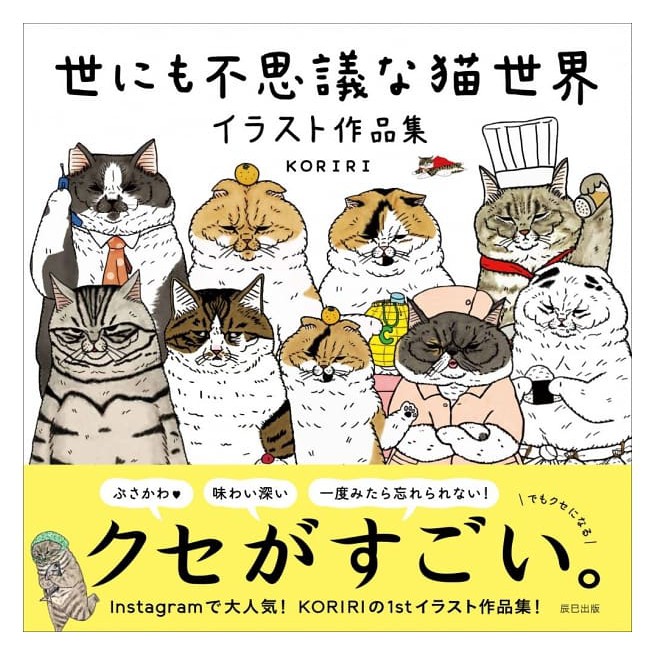 日本世不思議猫世界 Ptt討論與高評價商品 21年7月 飛比價格
