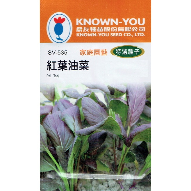 種子王國 紅葉油菜Pai Tsai(sv-535) 【蔬菜種子】農友種苗特選種子 每包約2公克