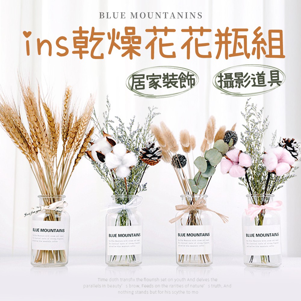 【台灣現貨】乾燥花花瓶 乾燥花 兔尾草【乾燥花+花瓶組】永生花 干燥花 拍照道具 家居擺飾 乾燥花玻璃瓶 花束禮盒 花