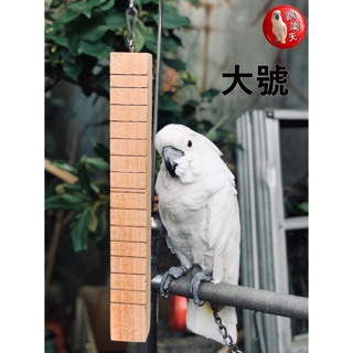 『鵡樂天』大型鸚鵡啃咬專用線切啃咬棒鸚鵡鳥玩具源自臺灣手作系列👍 (5B33)