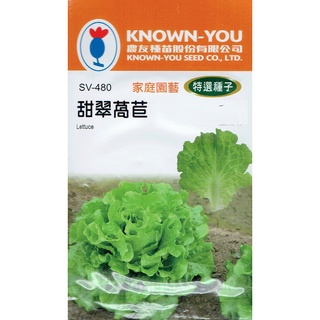種子王國 甜翠萵苣(Lettuce) sv-480 【蔬菜種子】 農友種苗特選種子 每包約6公克 可包烤肉用