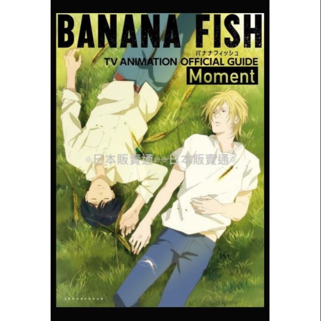 【二手現貨】banana fish 戰慄殺機 A英 亞修 英二 官方設定集