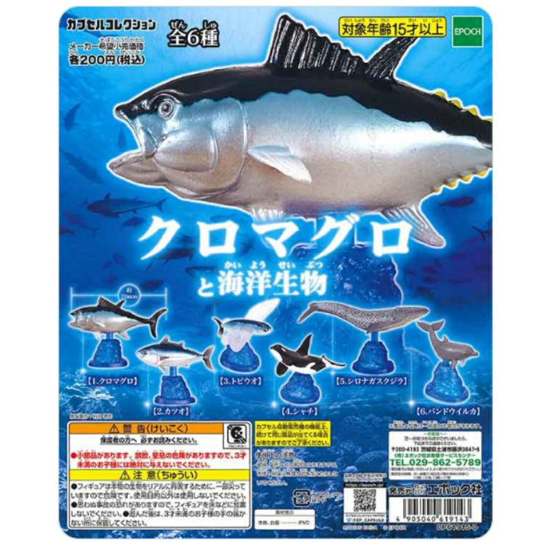 ✨全新現貨✨藍鰭金槍魚和海洋生物扭蛋