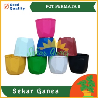 Putih 8cm GEMS花盆白色黃色粉色 8cm花盆白色黃色粉色塑料盆白色花瓶